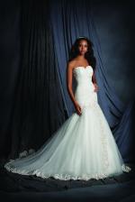 Alfred Angelo 2507